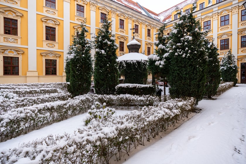 Wirydarz w budynku Wydziału Filologicznego przy pl. Nankiera